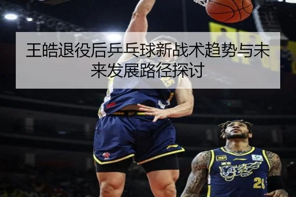 王皓退役后乒乓球新战术趋势与未来发展路径探讨 | manguantiyu